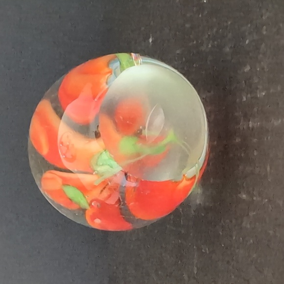VGT,Hand blown Art Glass Paperweight Encased with a  Bird of Paradise Flower. - Picture 4 of 6